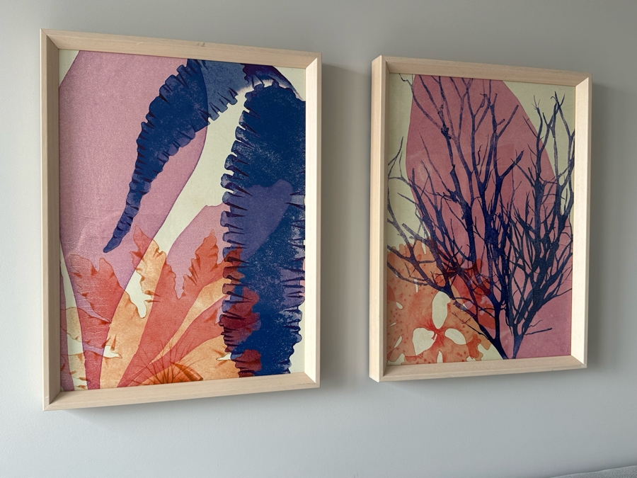 Pair Of Pottern Barn Framed Prints Titled Deep Sea Color 1 & 2 15 X 20 [Photo 2]