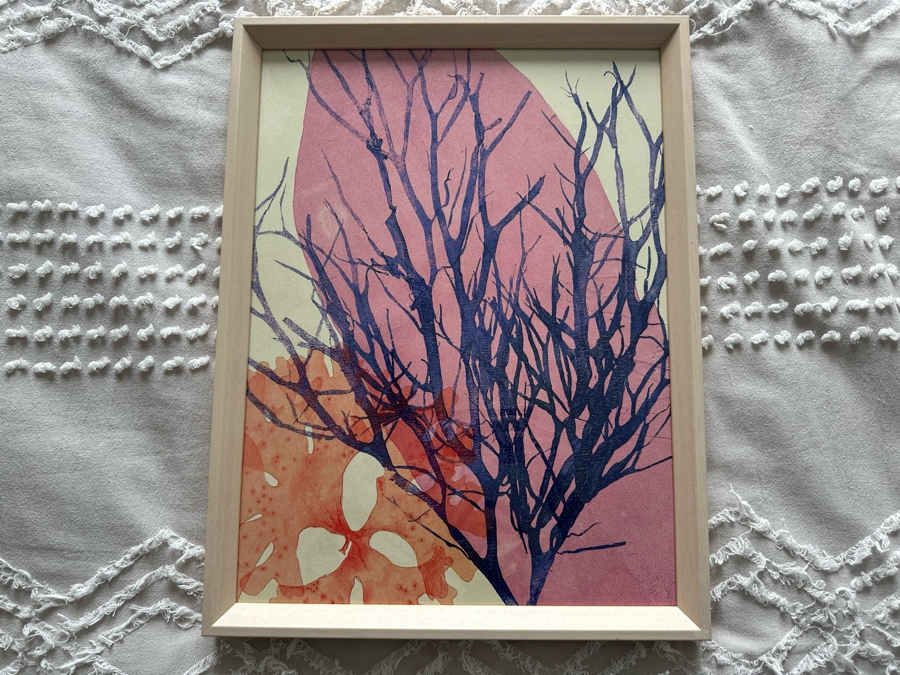 Pair Of Pottern Barn Framed Prints Titled Deep Sea Color 1 & 2 15 X 20 [Photo 3]