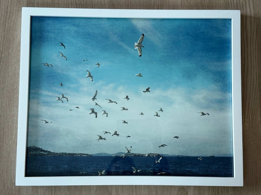 Pottery Barn Framed Coastal Print 20 X 16 [Photo 2]