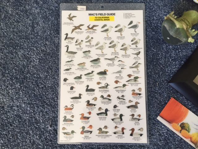 Animal Themed Lot [Photo 2]