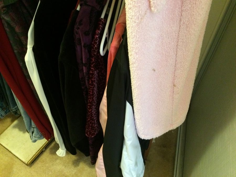 Entire Contents of Walk-In Closet - Shoes, Clothes, Scale [Photo 23]