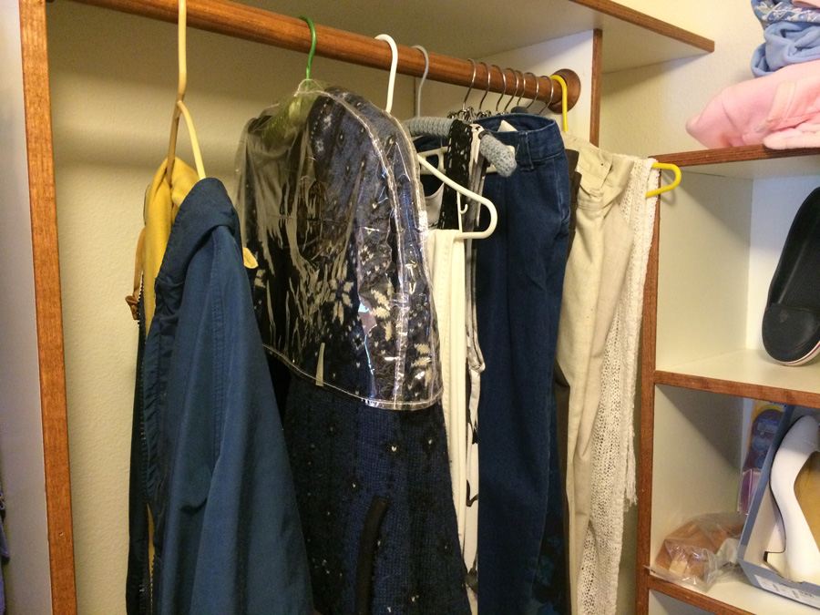 Entire Contents of Walk-In Closet - Shoes, Clothes, Scale [Photo 6]