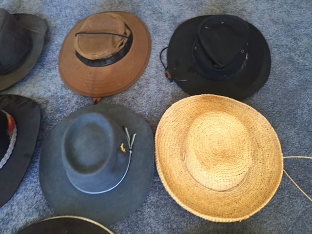 Hat Lot [Photo 4]
