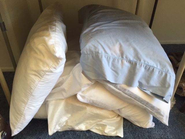 Pillow Lot [Photo 2]