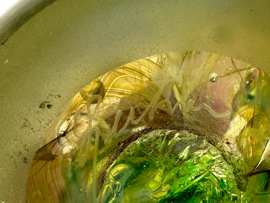 Pair Of Signed Art Glass Paperweights [Photo 12]