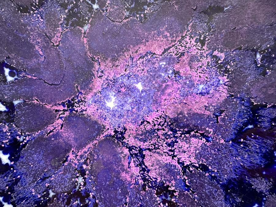 Stunning Signed Chinese Porcelain Dish With Brilliant Cosmic Purples 12.5'R X 2'H [Photo 3]