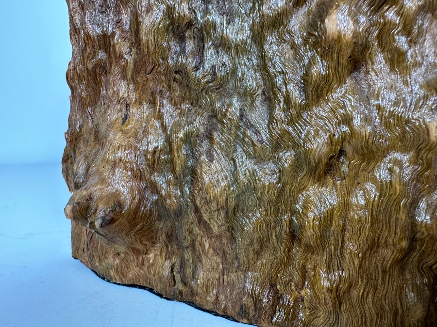 Organic Wooden Sculpture 11'W X 2'D X 10.5'H [Photo 2]