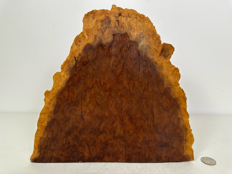 Organic Wooden Sculpture 11'W X 2'D X 10.5'H [Photo 4]