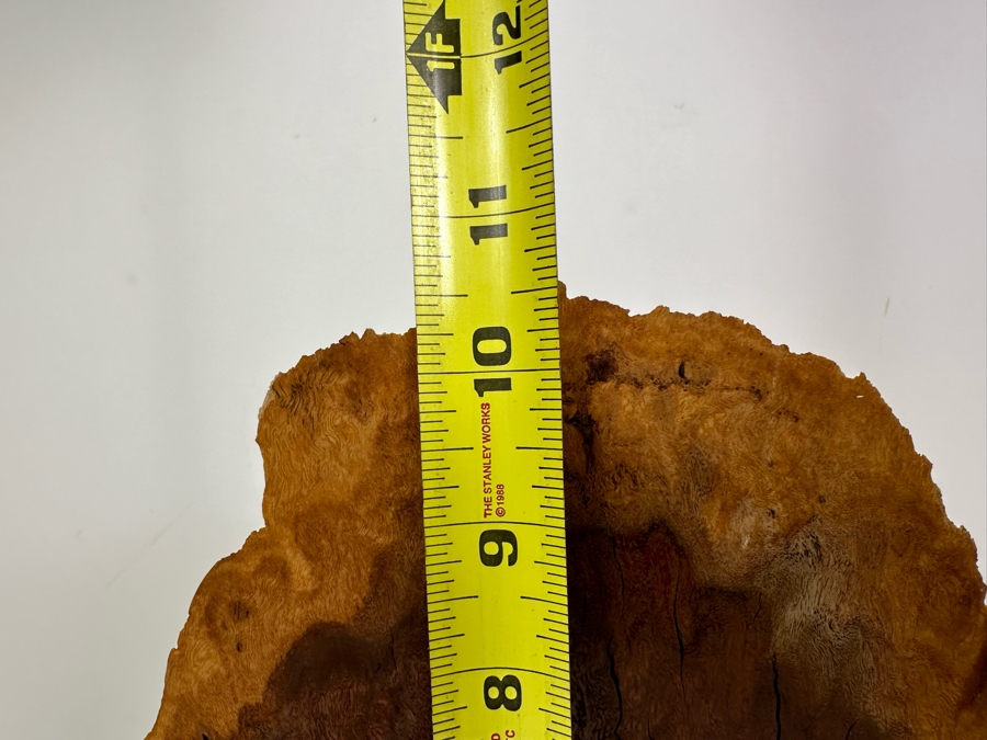 Organic Wooden Sculpture 11'W X 2'D X 10.5'H [Photo 7]