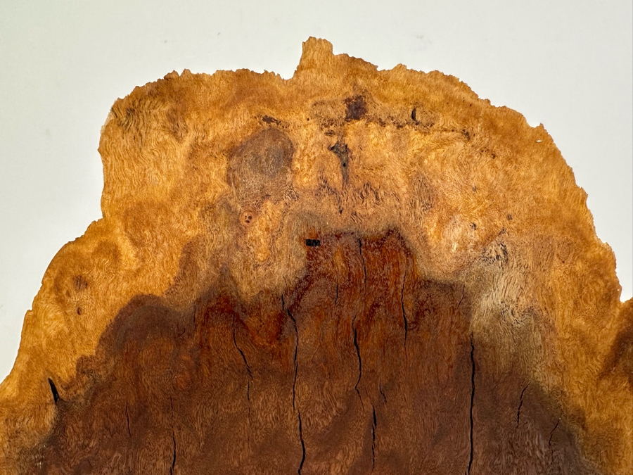 Organic Wooden Sculpture 11'W X 2'D X 10.5'H [Photo 5]