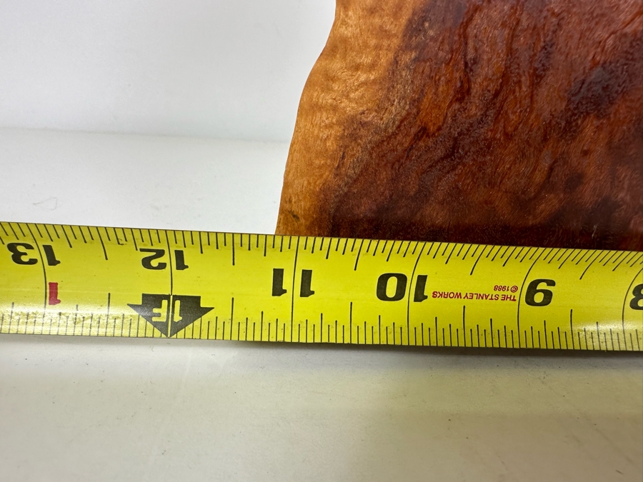 Organic Wooden Sculpture 11'W X 2'D X 10.5'H [Photo 6]