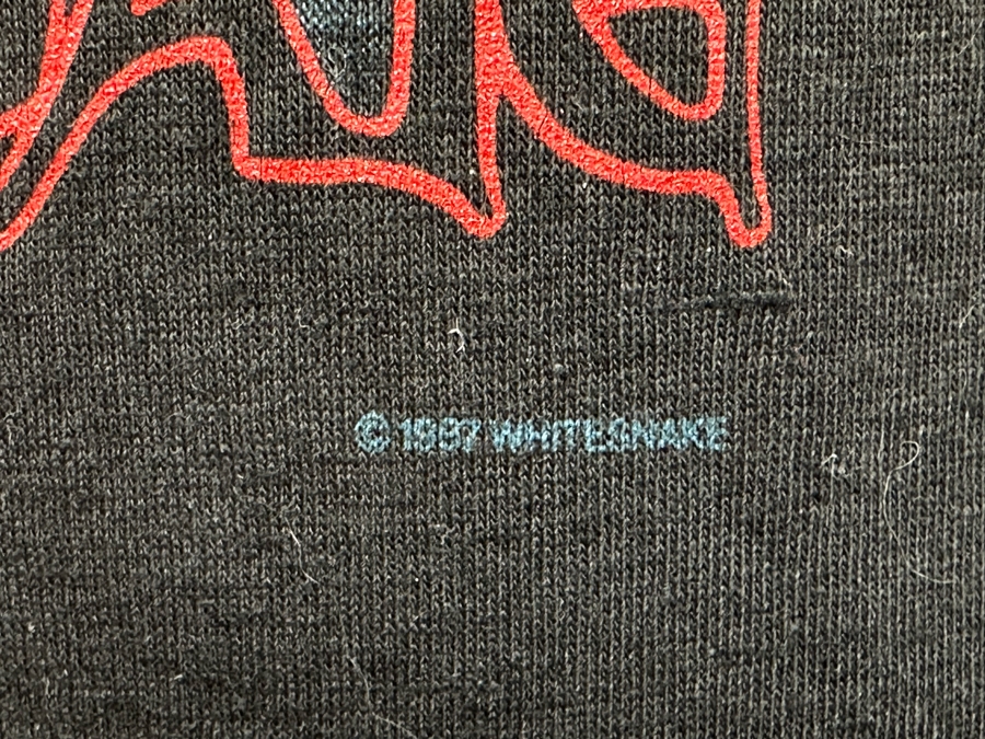 Vintage 1988 Whitesnake David Coverdale Tour Rock Concert T-Shirt Women's Size M [Photo 5]