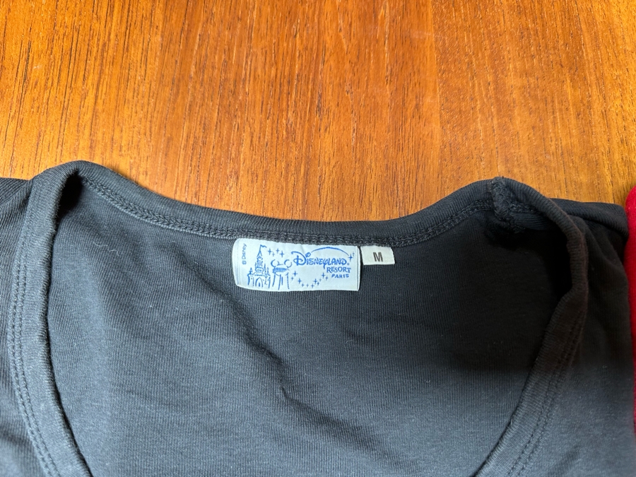Pair Of Disneyland T-Shirts Size M [Photo 4]