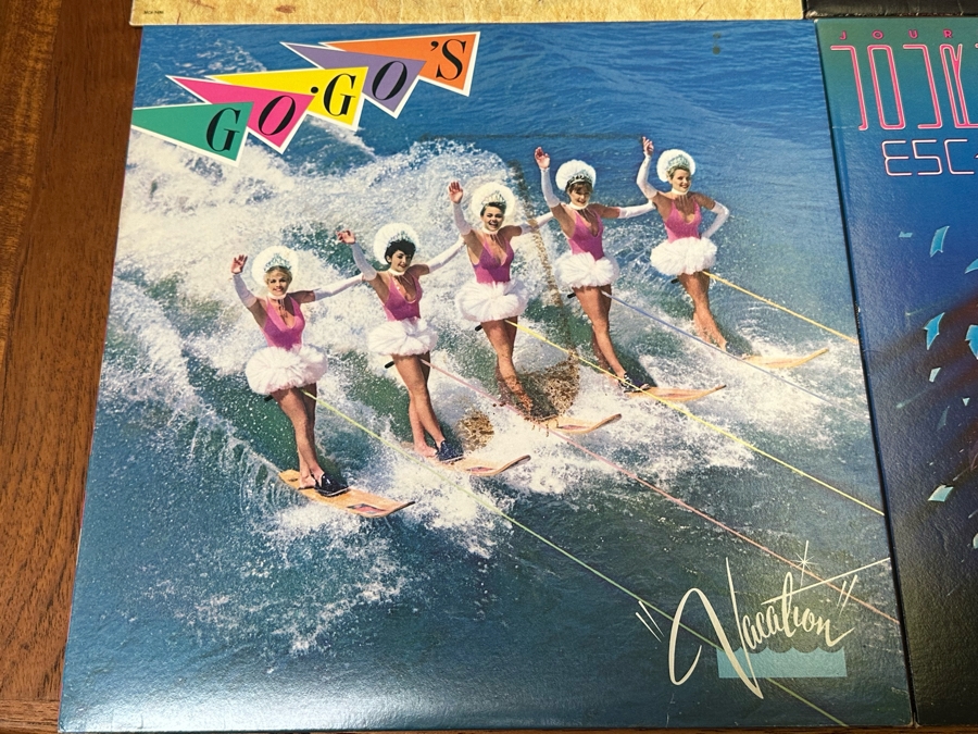 Twelve Vinyl Records [Photo 2]