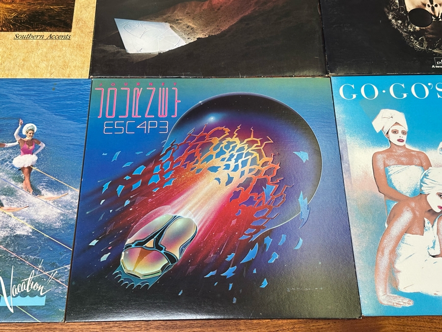 Twelve Vinyl Records [Photo 3]