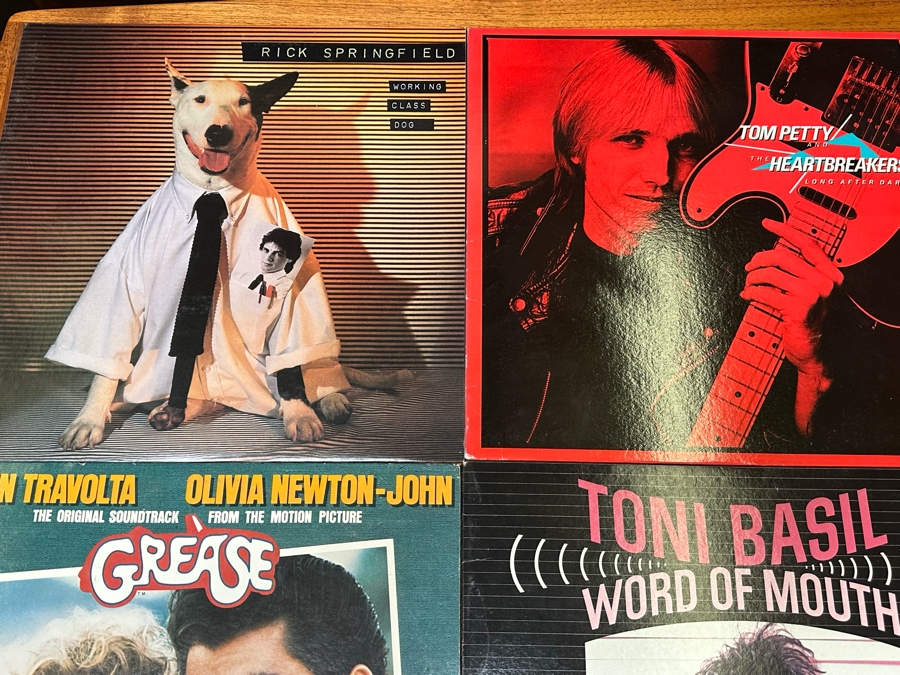 Twelve Vinyl Records [Photo 7]