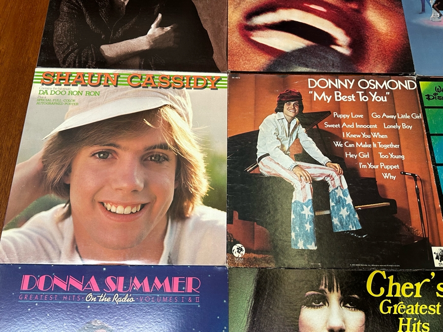 Nine Vinyl Records [Photo 6]