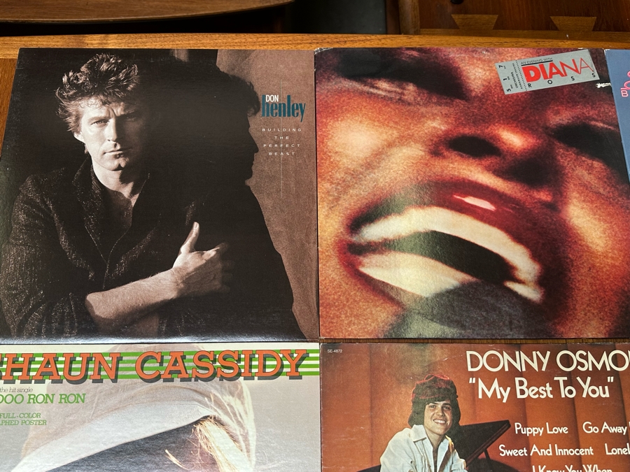 Nine Vinyl Records [Photo 7]