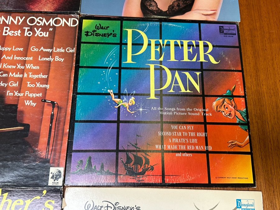 Nine Vinyl Records [Photo 3]