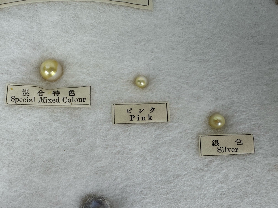 Vintage Specimen Chart Of Pearl Growth Of Japanese Pearls Shadowbox Framed 16.5' X 12' [Photo 6]