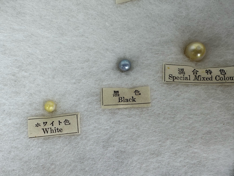 Vintage Specimen Chart Of Pearl Growth Of Japanese Pearls Shadowbox Framed 16.5' X 12' [Photo 5]
