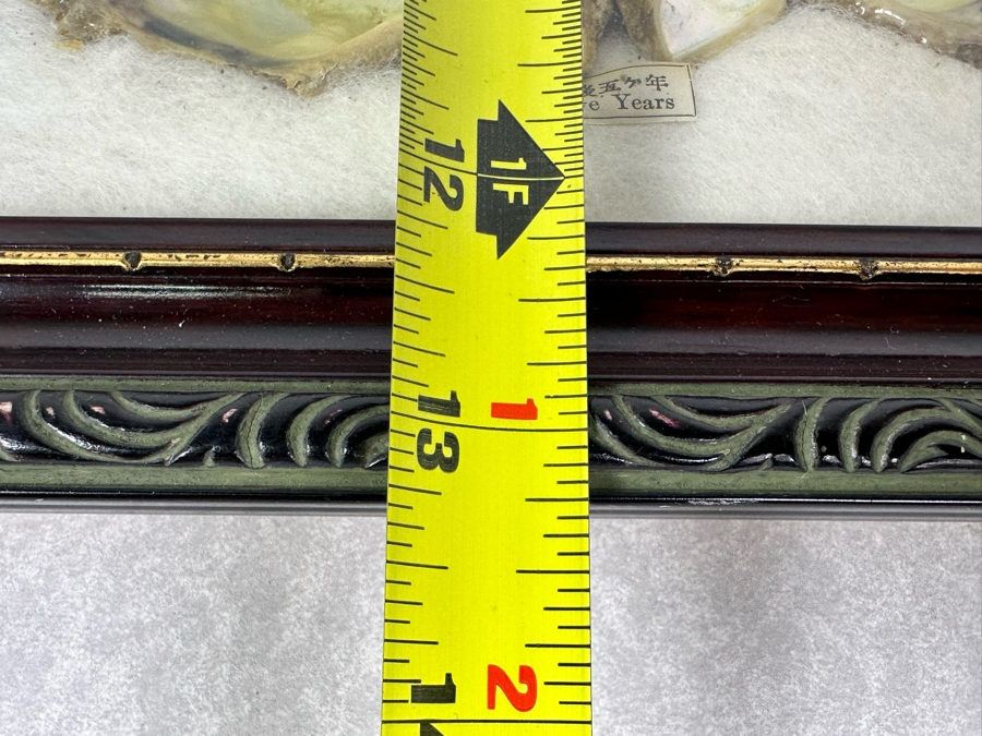 Vintage Specimen Chart Of Pearl Growth Of Japanese Pearls Shadowbox Framed 16.5' X 12' [Photo 15]