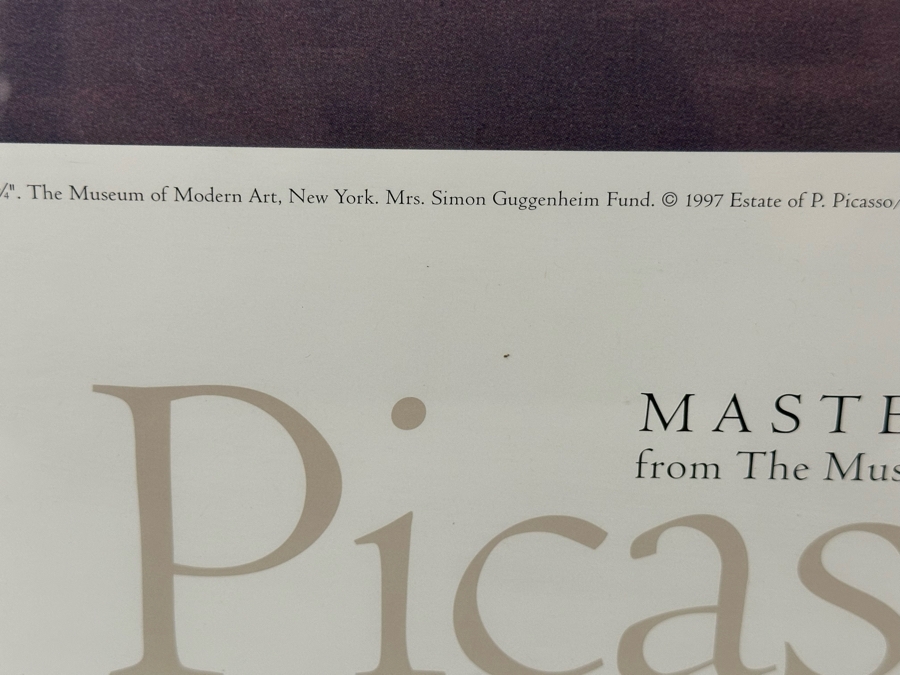 Just Added - Pablo Picasso 1997 Masterworks From The Museum Of Modern ...