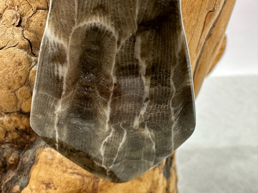 Pair Of Signed Hoselton Canada Animal Figurines And Artist Signed Carved Stone Bird On Driftwood Signed Stiles 5.5'H [Photo 10]