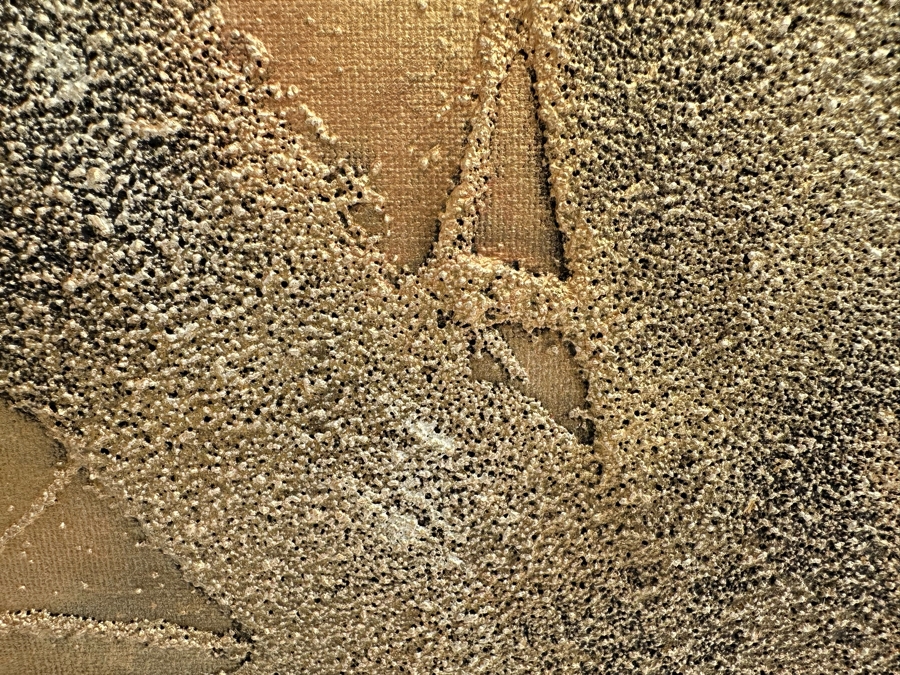 Gerrit Greve (1948-2024, Cardiff by the Sea, CA) Original Abstract Mixed Media Gold & Black Textured Sand Acrylic Painting On Canvas Titled 'Comparative Literature' 1999 Signed Verso 36' X 36' Estimate $1,000-$2,000 [Photo 4]