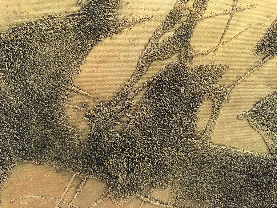 Gerrit Greve (1948-2024, Cardiff by the Sea, CA) Original Abstract Mixed Media Gold & Black Textured Sand Acrylic Painting On Canvas Titled 'Comparative Literature #2' 1999 Signed Verso 36' X 36' Estimate $1,000-$2,000 [Photo 4]