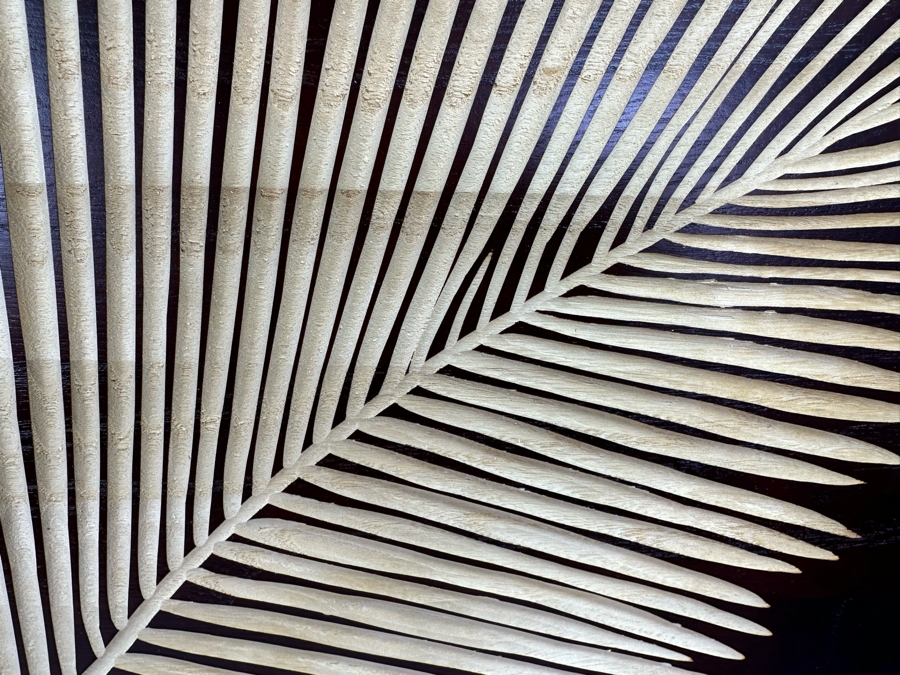 Just Added - Z Gallerie Wooden Fern Wall Decor Artwork, A Pair Each Measure 23.5' X 23.5' [Photo 7]