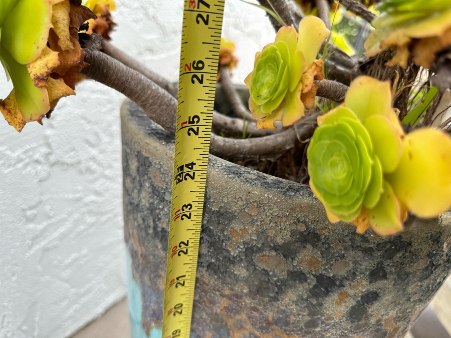 Pair Of Outdoor Glazed Flower Pots 24'H With Succulents - Pots Retail $480 [Photo 10]