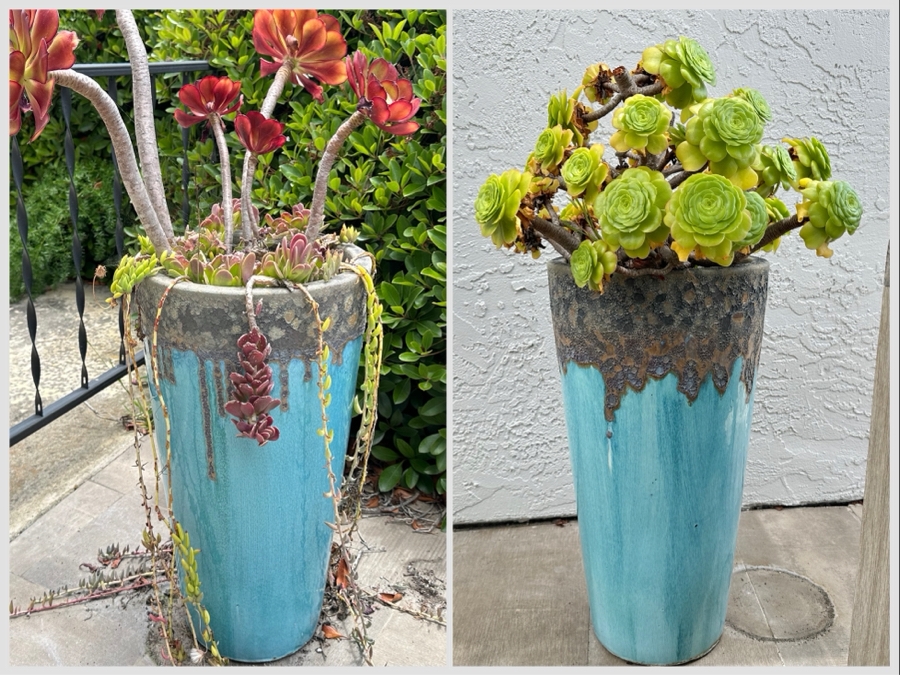 Pair Of Outdoor Glazed Flower Pots 24'H With Succulents