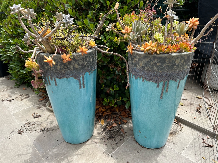 Pair Of Outdoor Glazed Flower Pots 24'H With Succulents - Pots Retail $480 [Photo 2]