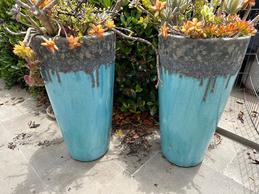 Pair Of Outdoor Glazed Flower Pots 24'H With Succulents - Pots Retail $480 [Photo 3]