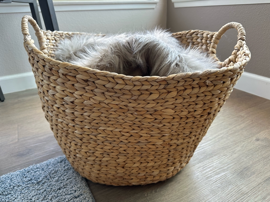 Large Woven Basket With Handles 23'W X 14'H And West Elm Faux Fur Throw 47 X 60 [Photo 1]
