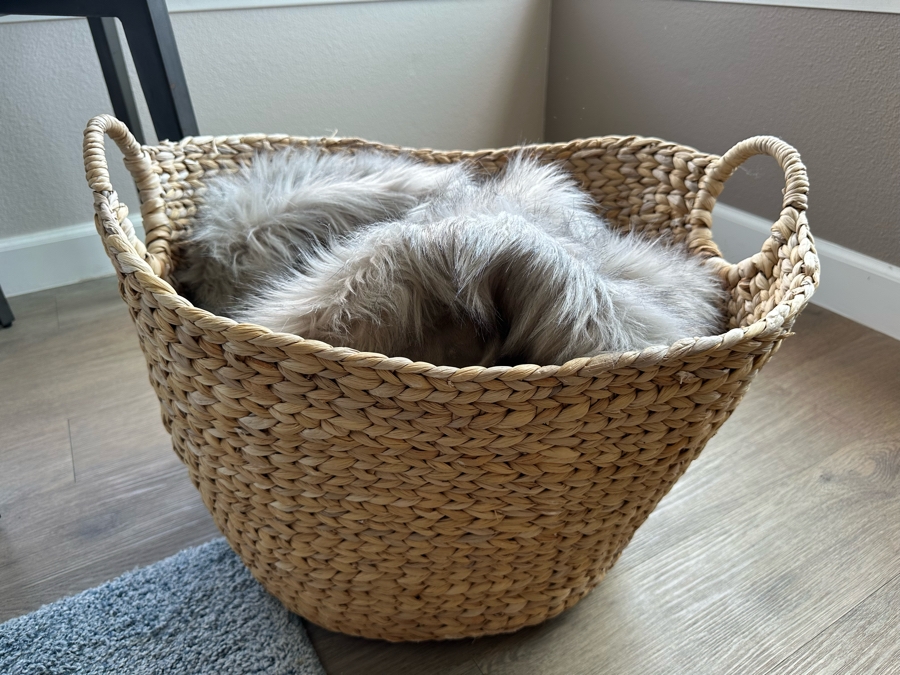 Large Woven Basket With Handles 23'W X 14'H And West Elm Faux Fur Throw 47 X 60 [Photo 2]