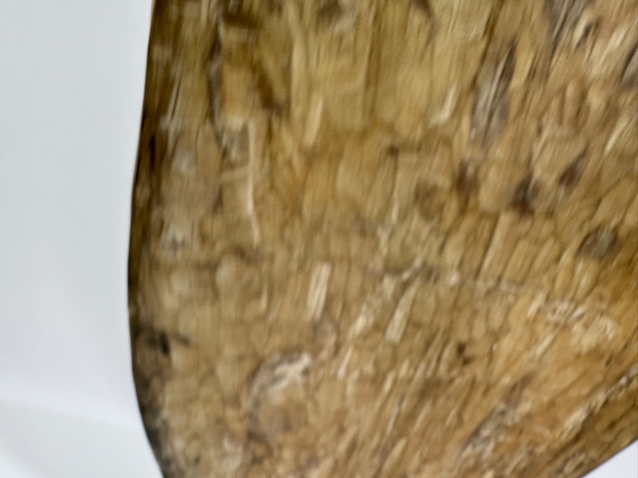 Vintage Asmat Papua New Guinea Carved Wooden Tribal Shield 16'W X 34'H [Photo 7]