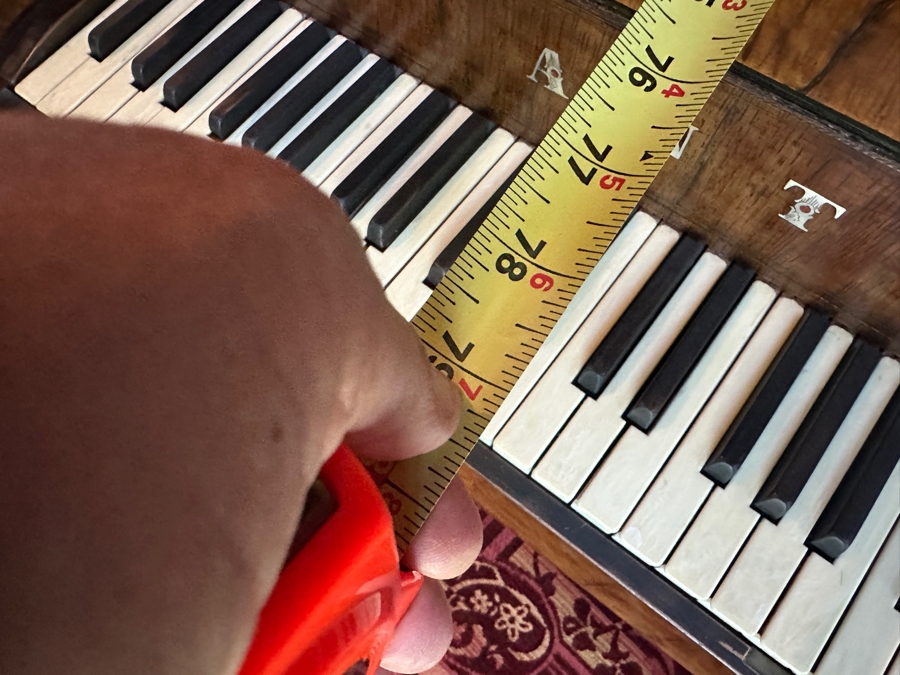 Antique Grand Austrian Amberg Piano With Ebony & Ivory Keys 6'7' (See Photos For Crack In The Cast Iron Plate Piano Harp) Client Paid $8,700 [Photo 21]