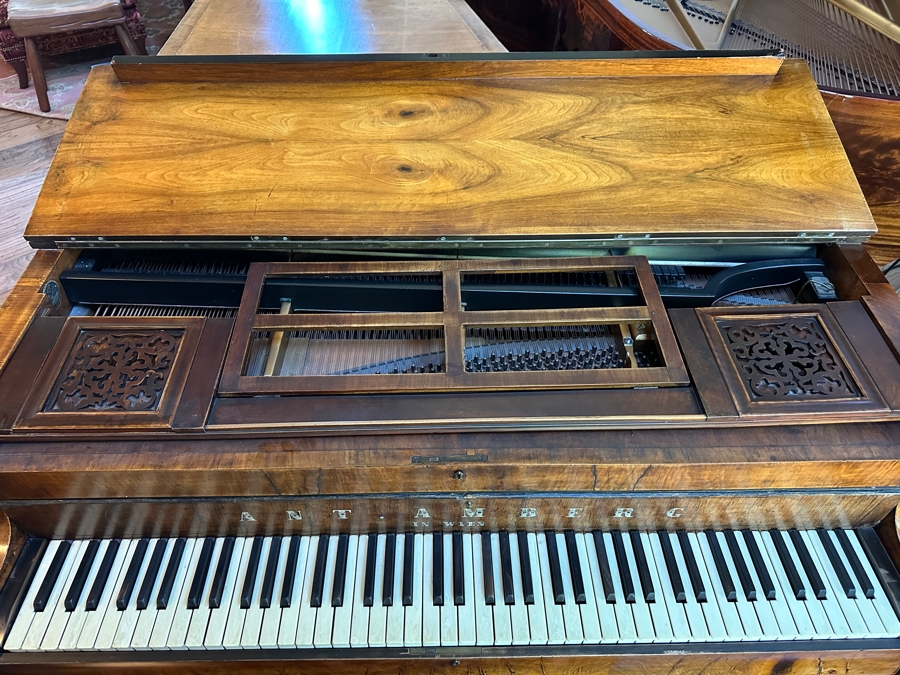 Antique Grand Austrian Amberg Piano With Ebony & Ivory Keys 6'7' (See Photos For Crack In The Cast Iron Plate Piano Harp) Client Paid $8,700 [Photo 10]