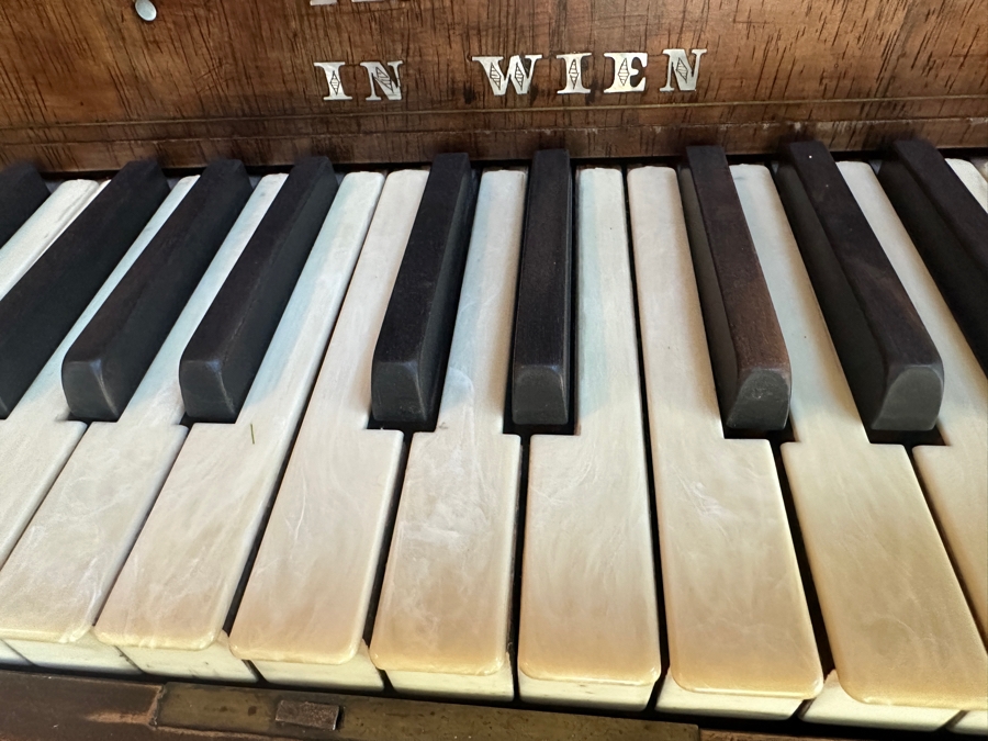 Antique Grand Austrian Amberg Piano With Ebony & Ivory Keys 6'7' (See Photos For Crack In The Cast Iron Plate Piano Harp) Client Paid $8,700 [Photo 7]