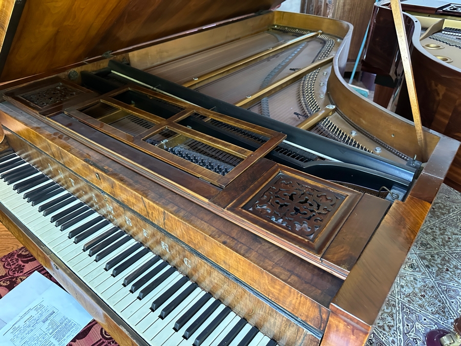 Antique Grand Austrian Amberg Piano With Ebony & Ivory Keys 6'7' (See Photos For Crack In The Cast Iron Plate Piano Harp) Client Paid $8,700 [Photo 16]