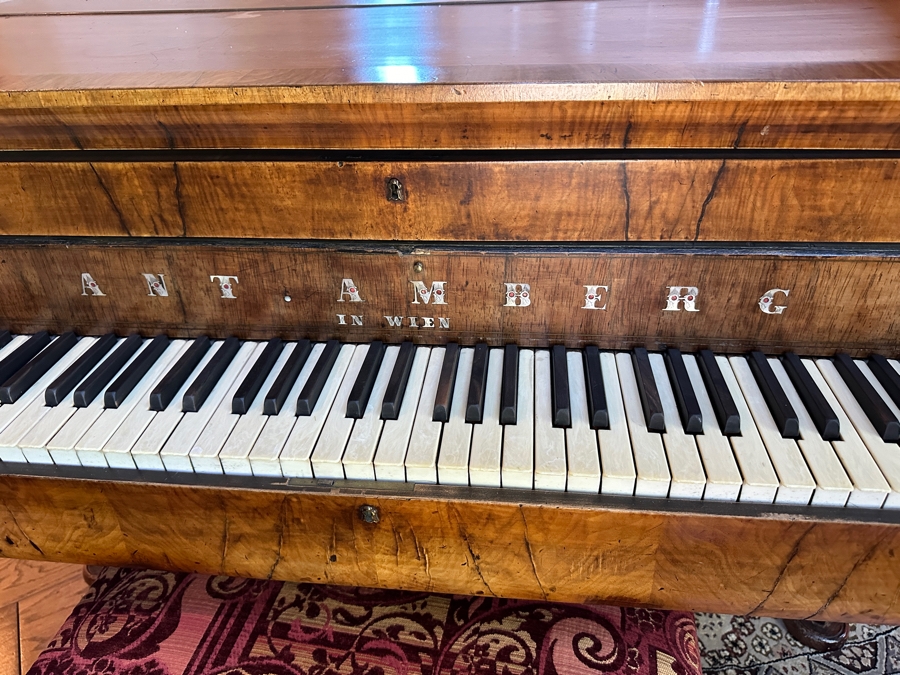 Antique Grand Austrian Amberg Piano With Ebony & Ivory Keys 6'7' (See Photos For Crack In The Cast Iron Plate Piano Harp) Client Paid $8,700 [Photo 5]