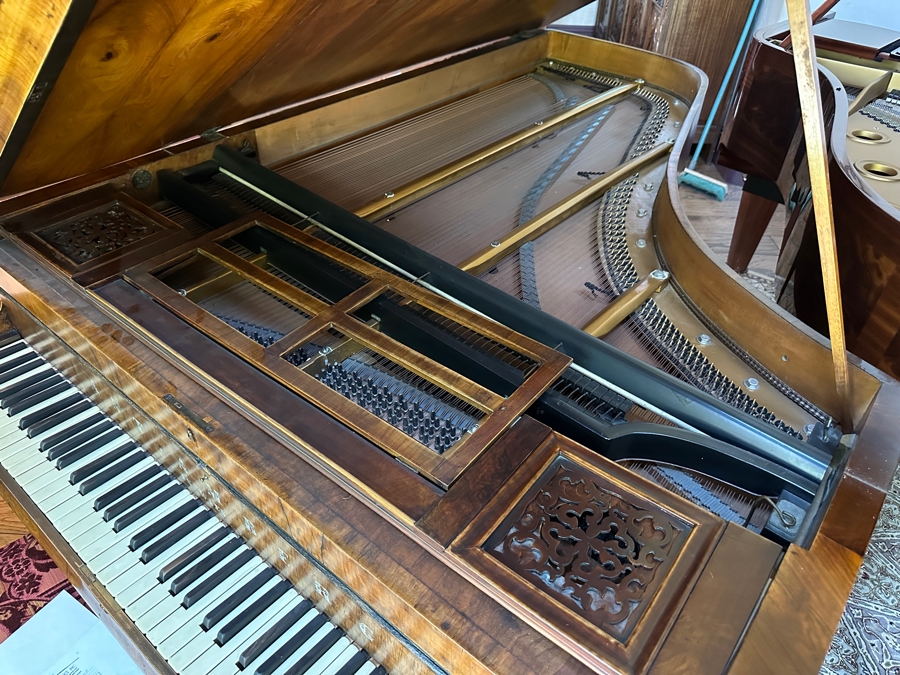 Antique Grand Austrian Amberg Piano With Ebony & Ivory Keys 6'7' (See Photos For Crack In The Cast Iron Plate Piano Harp) Client Paid $8,700 [Photo 17]