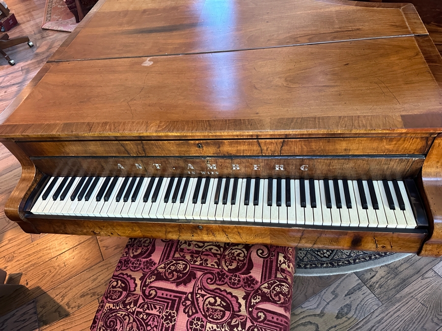 Antique Grand Austrian Amberg Piano With Ebony & Ivory Keys 6'7' (See Photos For Crack In The Cast Iron Plate Piano Harp) Client Paid $8,700 [Photo 6]