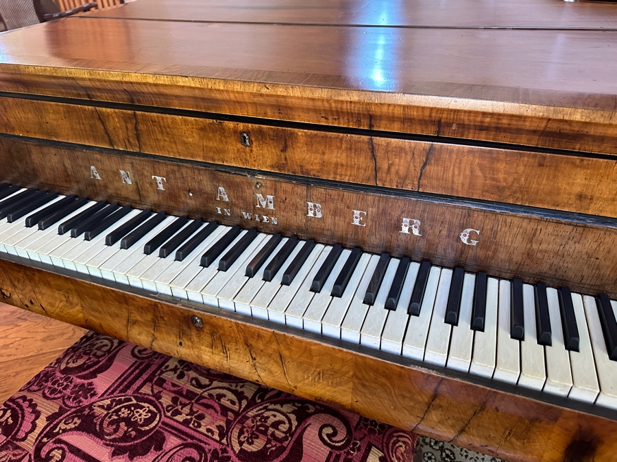 Antique Grand Austrian Amberg Piano With Ebony & Ivory Keys 6'7' (See Photos For Crack In The Cast Iron Plate Piano Harp) Client Paid $8,700 [Photo 2]