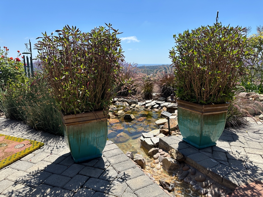 Pair Of Large Potted Plants Antique Falling Jade Pattern Flower Pot 17'W X 21.5'H [Photo 3]