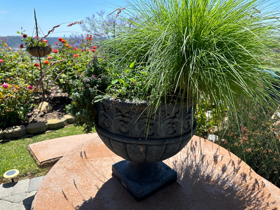 Footed Resin Urn Planter 18'H With Plants [Photo 2]