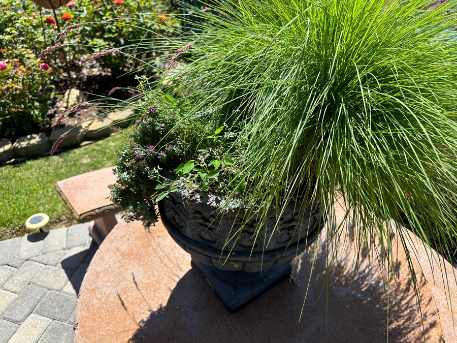 Footed Resin Urn Planter 18'H With Plants [Photo 3]