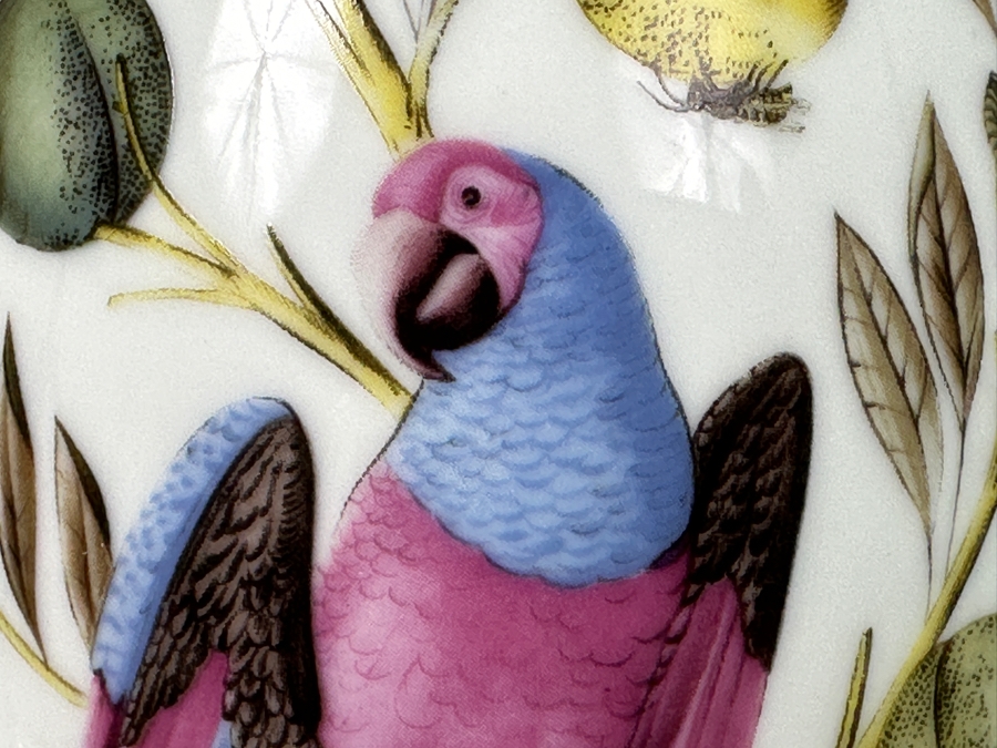 Vintage Alois Dallmayr Parrot 'Herrenchiemsee' Coffee Canister 10'H [Photo 2]